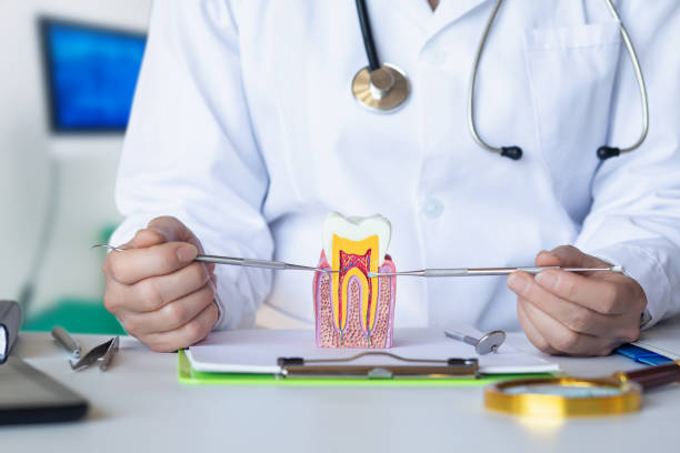 Best Emergency Denture Repair in Lyndonville, VT